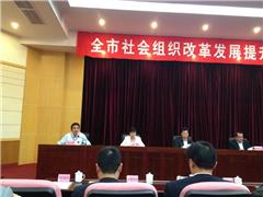 阳江市京师社会工作中心 在市社会社会组织改革发展提升年会议的发言