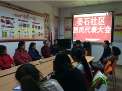 婆石社区居民代表大会--总结2016年，为2017年提出计划