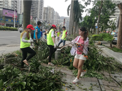 “天鸽”无情  珠海有爱——京师社工拱北站组织志愿者进行灾后清扫工作