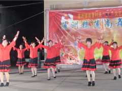 南青妇女舞蹈队筹资开展文艺晚会，为文明乡村建设添把力