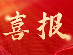 喜讯丨京师社工党支部上榜——助力高质量发展！珠海市社会组织党建项目评选结果发布